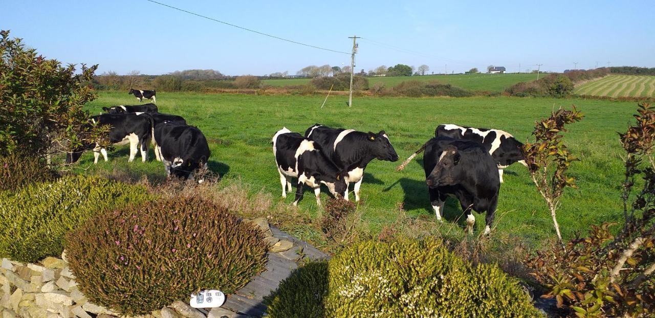 Murphys Irish Farmhouse Villa Tralee Exterior photo