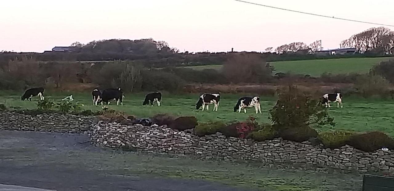 Murphys Irish Farmhouse Villa Tralee Exterior photo